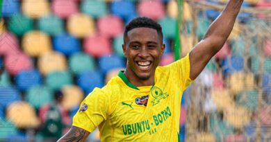 ISUNDOWNS ETHUBENI LOKUQUKULA INDEBE YECARLING